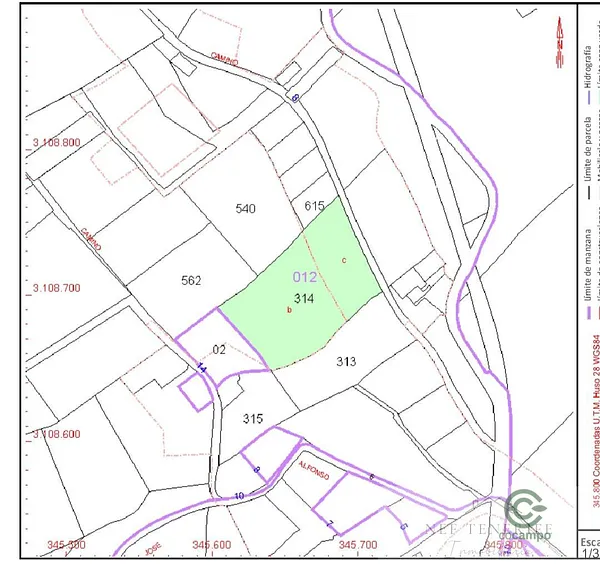 Spot image