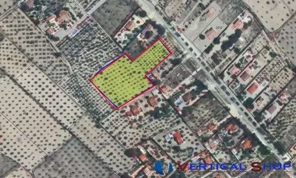 Spot image