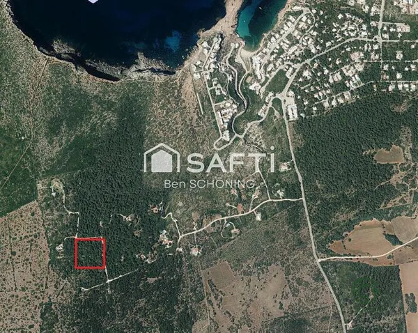 Spot image