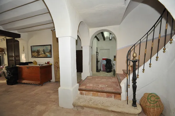 Spot image