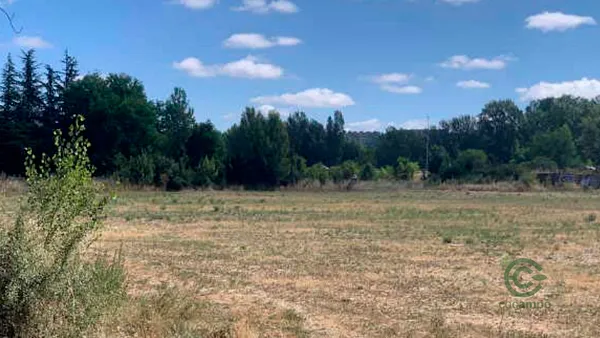 Spot image