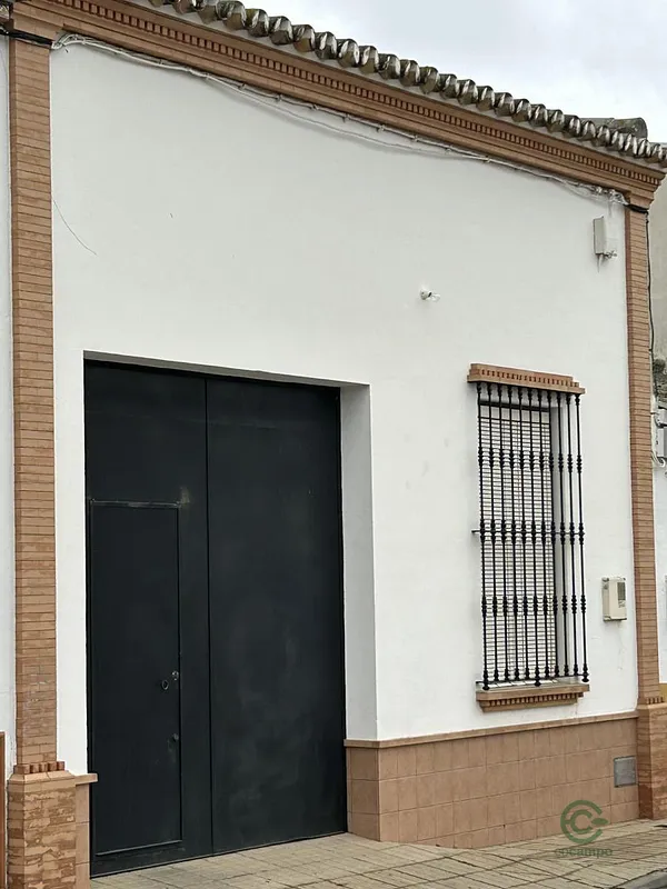 Spot image