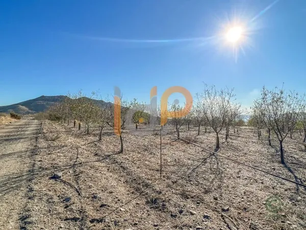 Spot image