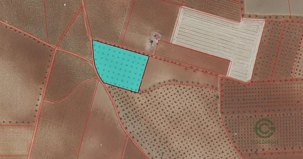 Spot image