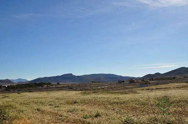 Spot image