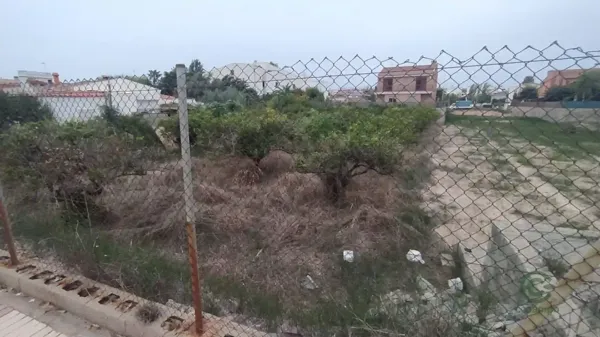 Spot image