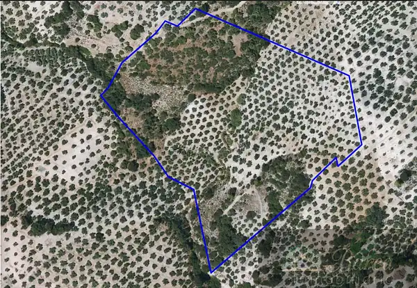 Spot image