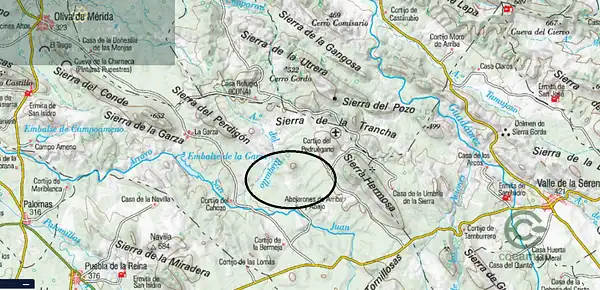 Spot image