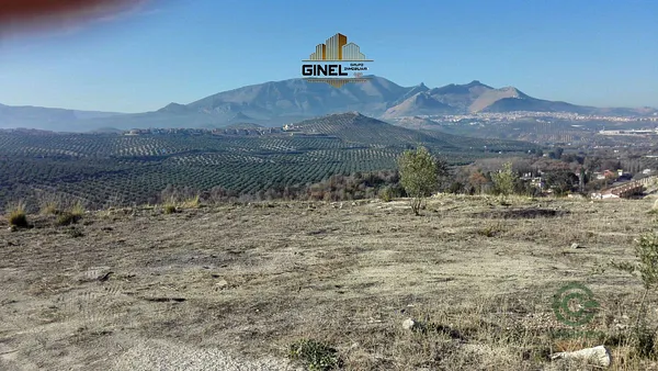 Spot image