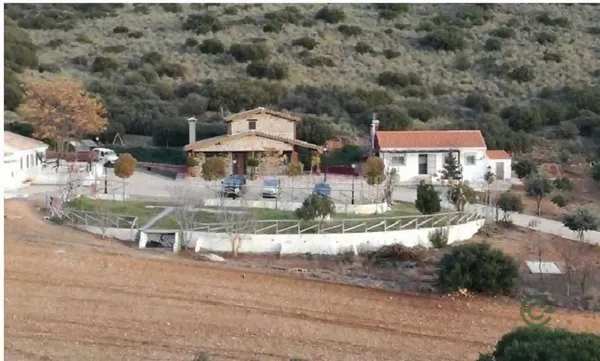 Spot image