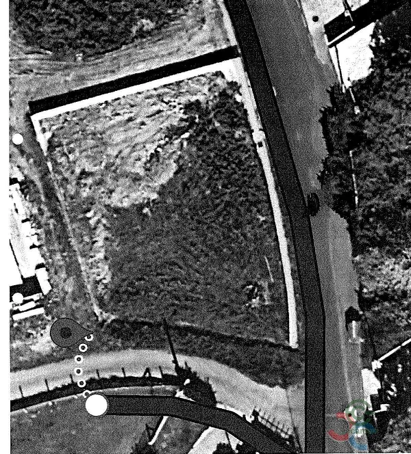 Spot image