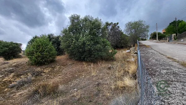 Spot image