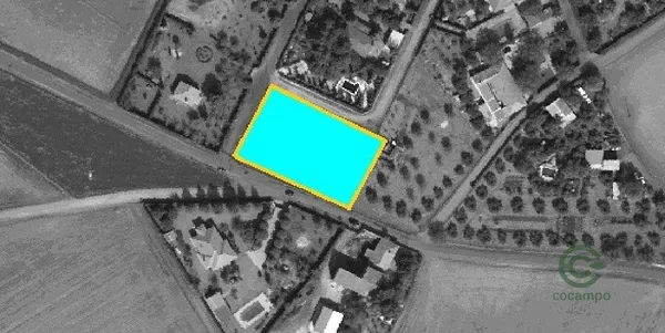 Spot image
