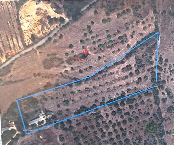 Spot image