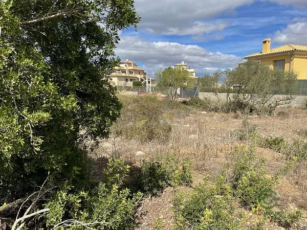Spot image