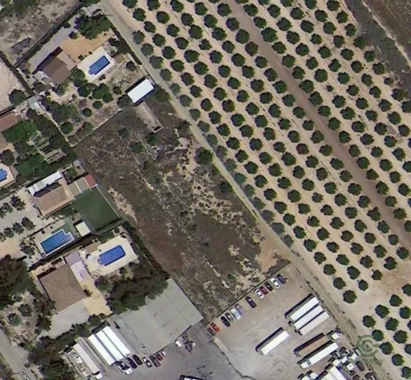 Spot image
