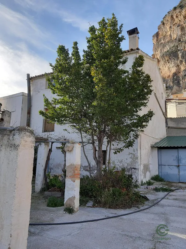 Spot image