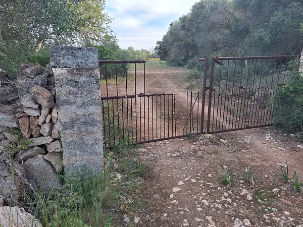 Spot image