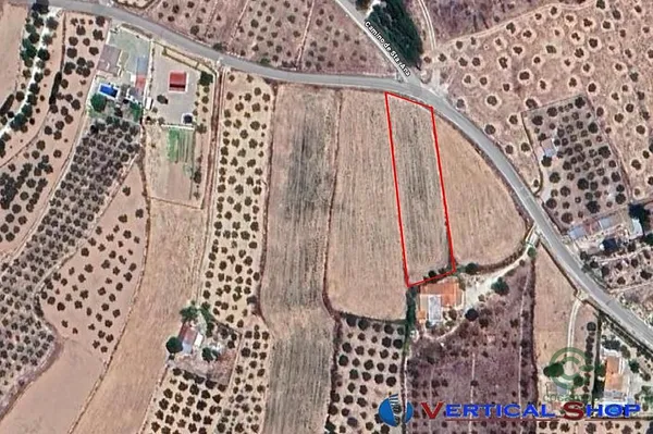 Spot image
