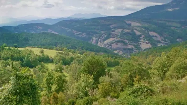 Spot image