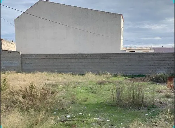 Spot image