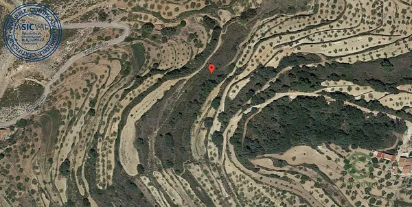 Spot image