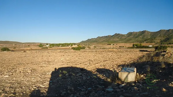 Spot image