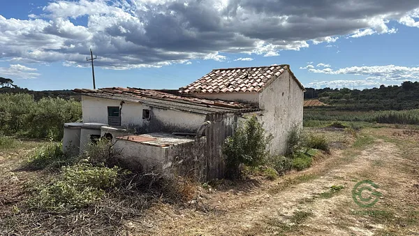 Spot image