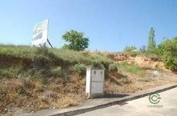 Spot image