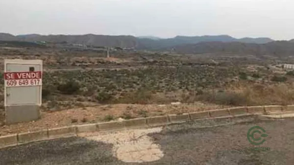 Spot image