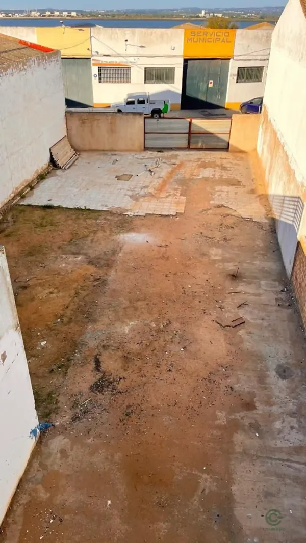 Spot image