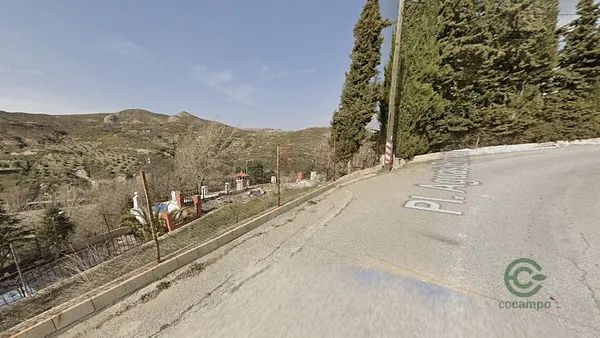 Spot image
