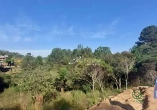 Fazenda rustica de 1,01 ha para venda em São paulo