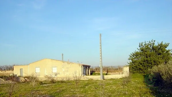 Spot image