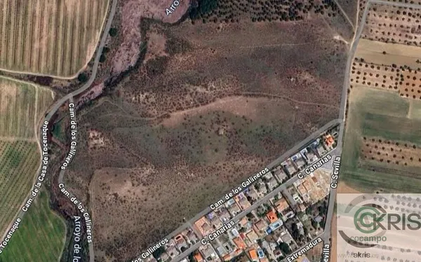 Spot image