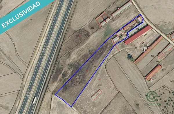Spot image