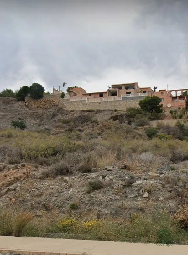 Spot image