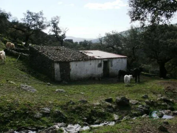 Spot image