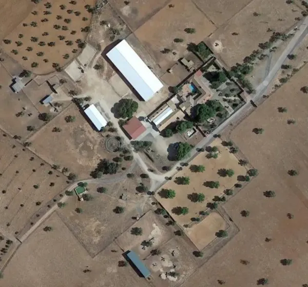Spot image