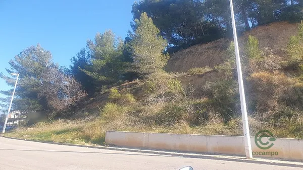 Spot image