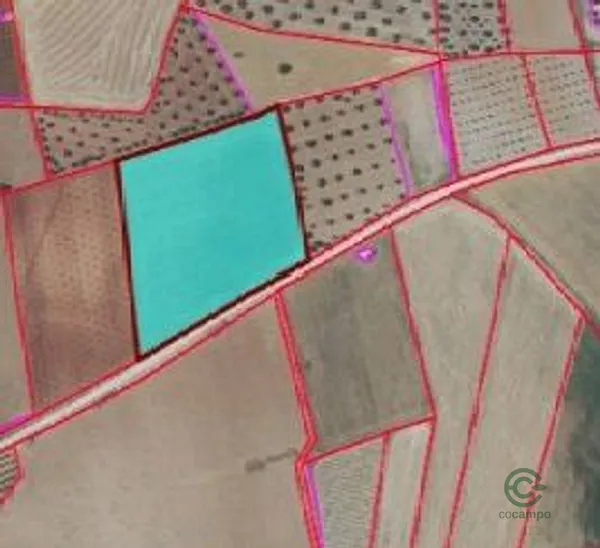 Spot image