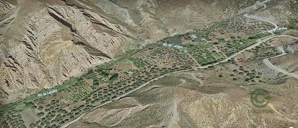 Spot image