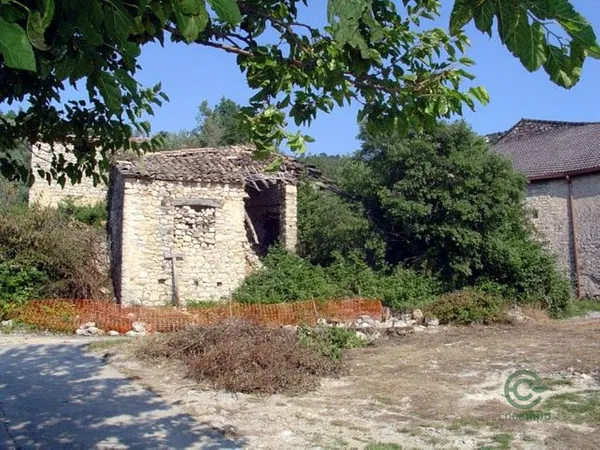 Spot image