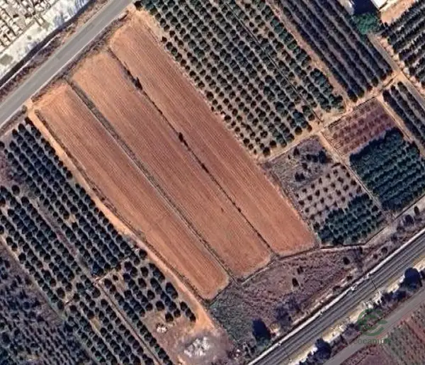 Spot image