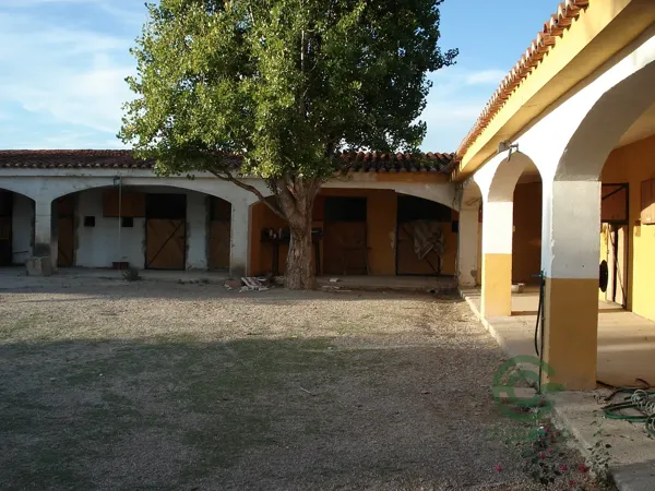 Spot image