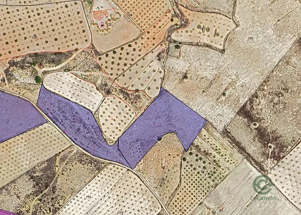 Spot image
