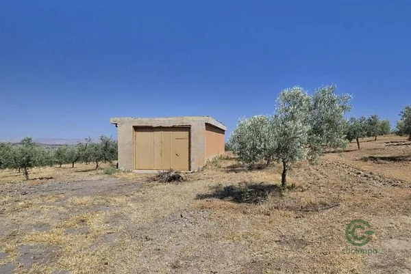 Spot image