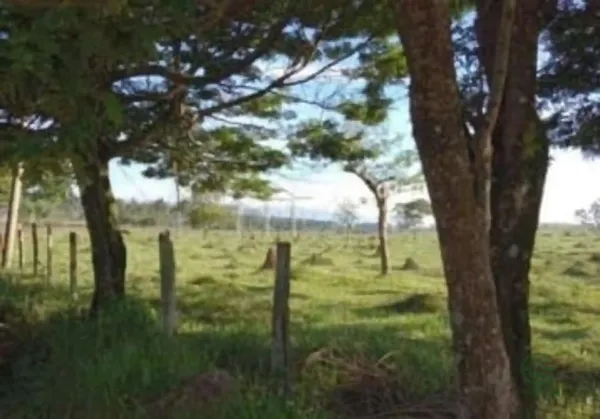 Fazenda rustica de 456 ha para venda em São paulo