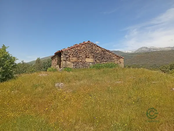 Spot image
