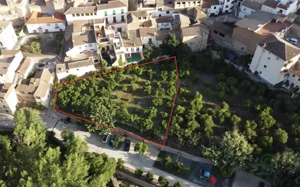 Spot image